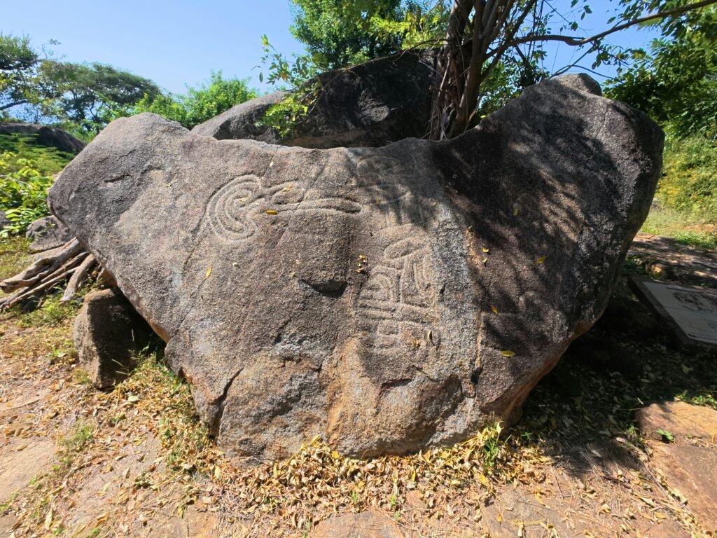 pexels-jesus-alfonso-536420752-34795505